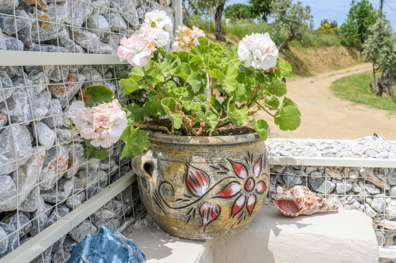 Casa Rozana - Skiathos Eksteriør bilde